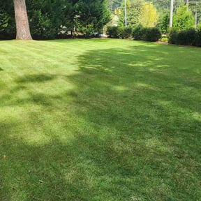 grass cutting by Sunset Lawnscape reviewed on August 17, 2025