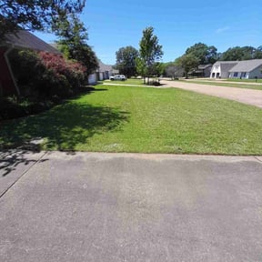 turf care by Jacob Morgan Lawn Care reviewed on August 26, 2024
