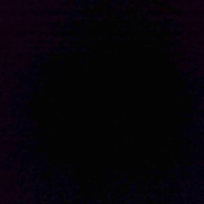 Bush Trimming by Diamond R Equipment Services LLC reviewed on November 8, 2025