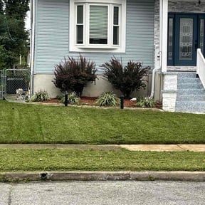 lawn service by DJS Lawn care reviewed on May 4, 2024