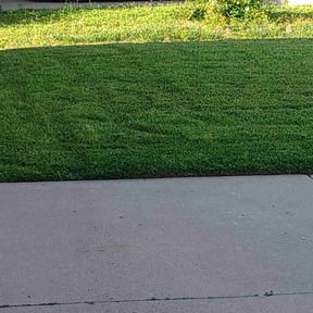 turf maintenance by Robert Dukes Kut Pro Lawn Maintenance reviewed on April 24, 2024