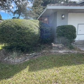 Bush Trimming by Wallace The Lawn Guy reviewed on August 19, 2025