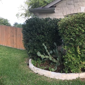 Bush Trimming by Davis Mowing LLC reviewed on August 19, 2025