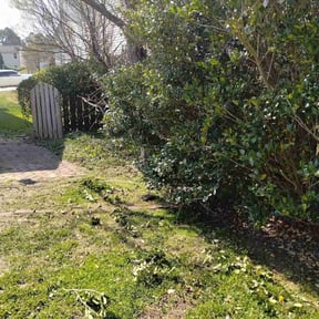 Bush Trimming by james lawn service reviewed on August 20, 2025