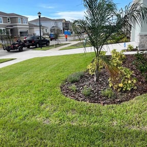yard maintenance by McGee's Lawn Care LLC reviewed on August 17, 2025