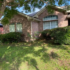 Bush Trimming by HGD landscaping reviewed on April 19, 2026