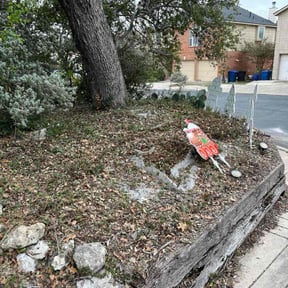 Bush Trimming by McGee's Lawn Care LLC reviewed on September 4, 2023