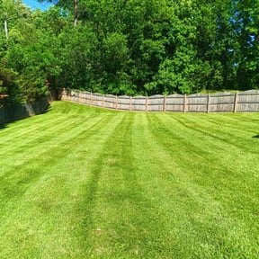 yard work by SAN ANTONIO LAWNS LLC reviewed on August 19, 2025