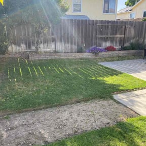 gardening service by Logan Bowes reviewed on August 17, 2025