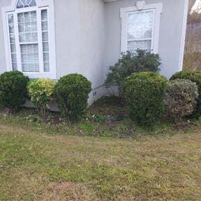 Bush Trimming by Victories Exterior Cleaning llc reviewed on October 28, 2023