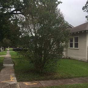 Bush Trimming by Jon's Landscaping & Services reviewed on August 19, 2025