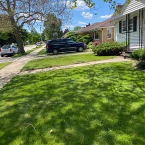 gardening service by Celebrity lawn care and landscaping reviewed on August 17, 2025