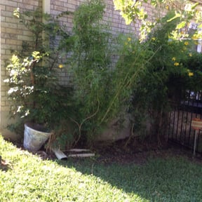 Flower Bed Weeding by GREENART LAWN CARE reviewed on August 19, 2025