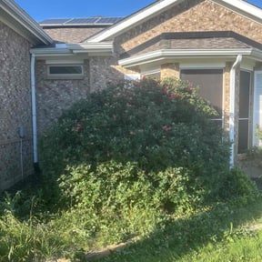 Bush Trimming by Big Daddy’s Lawn Care reviewed on August 19, 2025