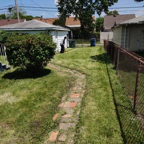 Bush Trimming by Alan's Mowing reviewed on August 16, 2025