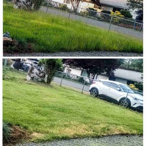 Bush Trimming by Text 2 Cut Lawn Care LLC reviewed on August 20, 2025
