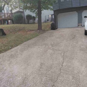 Bush Trimming by Greg&#039;s gardens reviewed on October 20, 2025