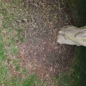 Leaf Removal by AJ&#039;s X-terior WorkZ reviewed on September 11, 2025