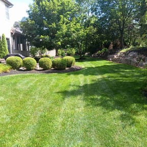 yard care by Finns landscaping reviewed on August 15, 2025