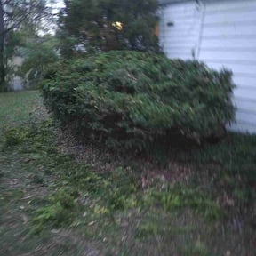 Bush Trimming by Smith lawn care and more reviewed on April 12, 2026