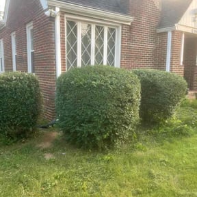 Bush Trimming by To The Rescue Landscaping and Hurricane Clean Up reviewed on August 21, 2025