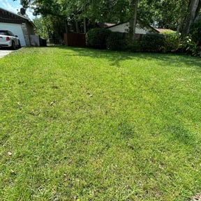 lawn care services by D&amp;k Taylor lawn care reviewed on August 20, 2025