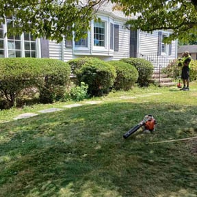 Bush Trimming by Lawn Tamer reviewed on October 23, 2025