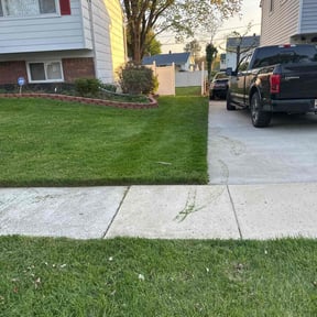 gardening service by Prestige Property Preservation Worldwide LLC reviewed on August 16, 2025