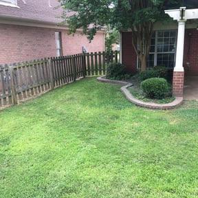 Bush Trimming by County Line Services reviewed on August 16, 2025