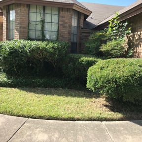 Bush Trimming by Lake country mowing reviewed on August 18, 2025