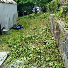 Bush Trimming by Vet-mow by J.J. reviewed on August 18, 2025