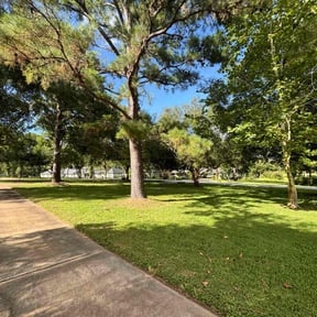 landscaping by A&R lawn care reviewed on August 18, 2025