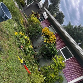 Bush Trimming by Top level lawn reviewed on August 16, 2025