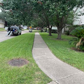 Leaf Removal by MEA Lawncare reviewed on September 24, 2025