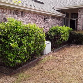 Leaf Removal by Gaines Property Solutions reviewed on September 21, 2025