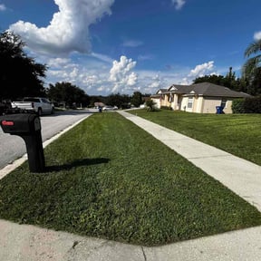 grass maintenance by Ocutandcompany reviewed on August 25, 2023