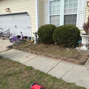 Flower Bed Weeding by MJ lawn care reviewed on March 25, 2026