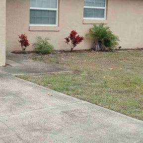 Bush Trimming by Isabell lawn services reviewed on August 16, 2025