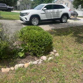 Bush Trimming by Lawrence Lawn Care reviewed on May 28, 2026