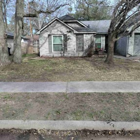 Leaf Removal by Haymes Grass Grooming reviewed on September 9, 2025