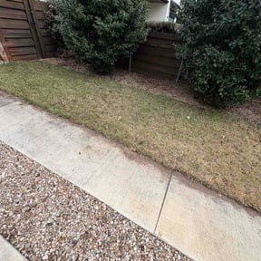 Leaf Removal by Chemen reviewed on June 12, 2026