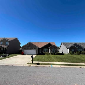 turf care by Lawngenie reviewed on November 9, 2017