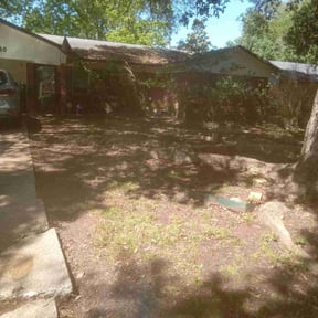 Leaf Removal by Homes Based Services reviewed on October 2, 2025