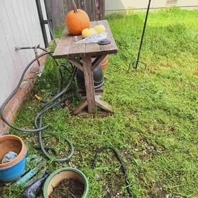 Bush Trimming by Grimes Green Care reviewed on August 19, 2025