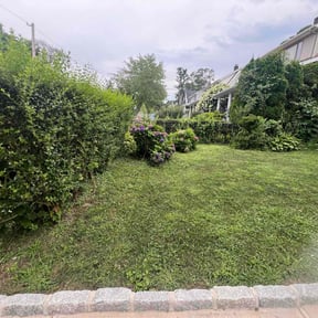 grass cutting by Cutting Edge reviewed on August 21, 2025