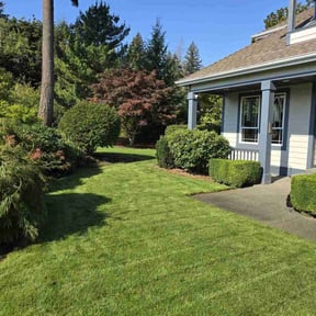 yard service by Keys Care Property Management reviewed on November 26, 2025