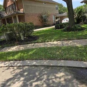 yard work by G E D Services LLC reviewed on August 16, 2025