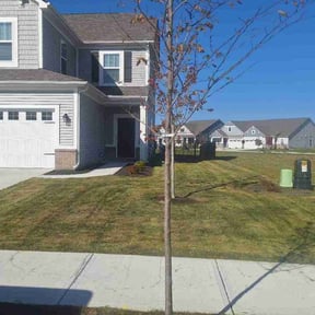 grass cutting by Ramirez lawn and landscaping reviewed on April 30, 2024