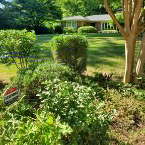 Bush Trimming by GreenLawn Services reviewed on August 15, 2025