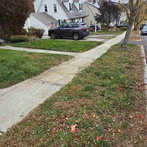 Leaf Removal by Brian Lienhart reviewed on October 19, 2025